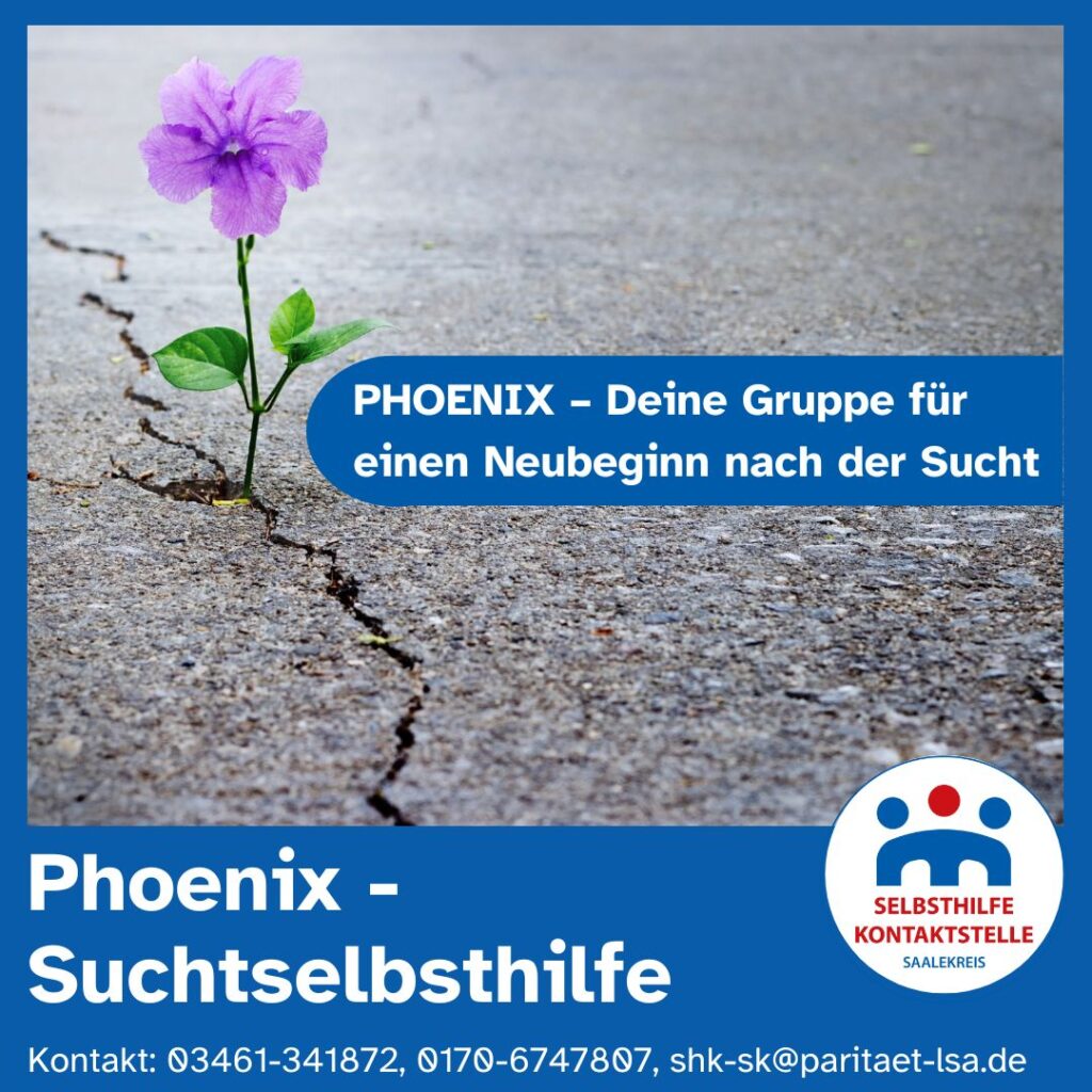 Eine zarte Blume mit lilafarbener Blüte wächst aus dem Riss in einem Betonboden der Sonne entgegen. Daneben ist der Text abgebildet: Phoenix - Deine Gruppe für einen Neubeginn nach der Sucht.